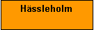Textruta: Hässleholm